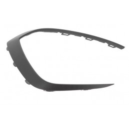 Modanatura griglia paraurti...