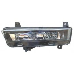 Fendinebbia H16 con luce di...