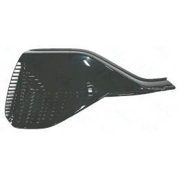 Griglia paraurti anteriore...