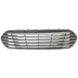 Griglia mascherina radiatore