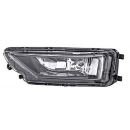 Fendinebbia H11 passeggero dx
