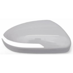 Calotta specchietto...