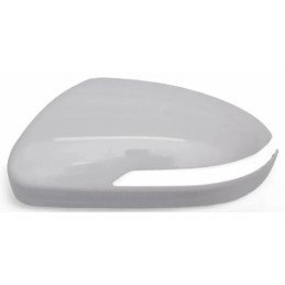 Calotta specchietto...