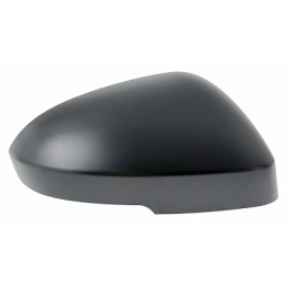 Calotta specchietto...