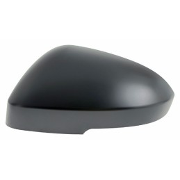 Calotta specchietto...