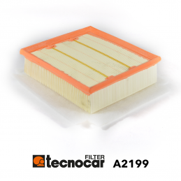 Cartuccia filtro aria