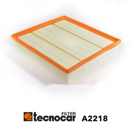 Cartuccia filtro aria