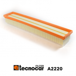 Cartuccia filtro aria