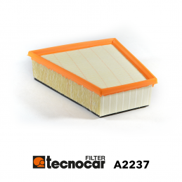 Cartuccia filtro aria