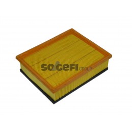 Cartuccia filtro aria