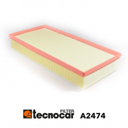 Cartuccia filtro aria