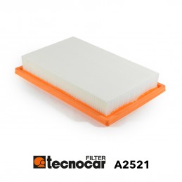 Cartuccia filtro aria