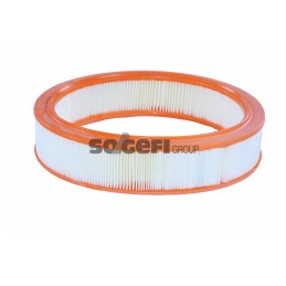 Cartuccia filtro aria