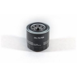 Filtro olio