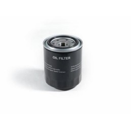 Filtro olio
