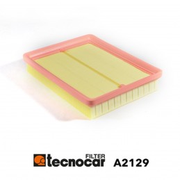 Cartuccia filtro aria