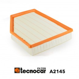 Cartuccia filtro aria