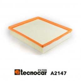 Cartuccia filtro aria