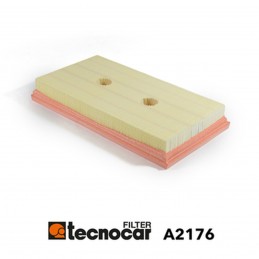 Cartuccia filtro aria