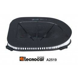 Cartuccia filtro aria