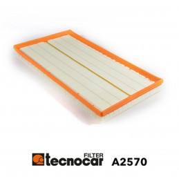 Cartuccia filtro aria