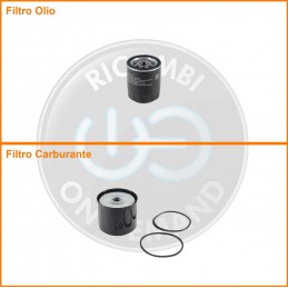 KT01156 Coppia filtri olio...