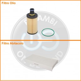 KT02044 Coppia filtri olio...