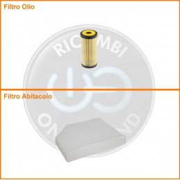 KT03831 Coppia filtri olio...