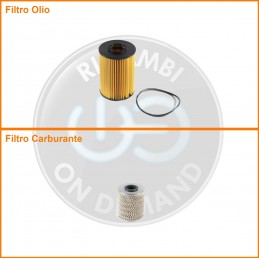 KT04191 Coppia filtri olio...