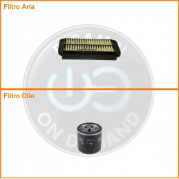 KT07063 Coppia filtri aria...