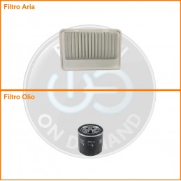 KT08246 Coppia filtri aria...