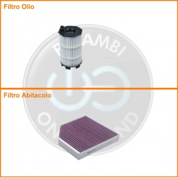 KT09186 Coppia filtri olio...