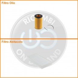 KT09498 Coppia filtri olio...