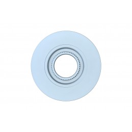 Disco freno posteriore