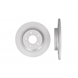 Disco freno posteriore