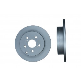 Disco freno posteriore