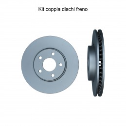 Coppia dischi freno...