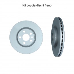 Coppia dischi freno...