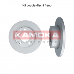 Coppia dischi freno posteriore