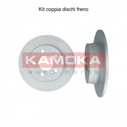 Coppia dischi freno posteriore