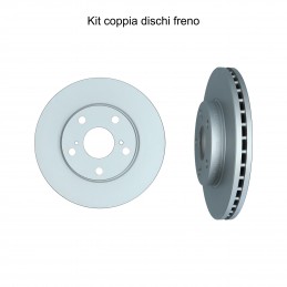 Coppia dischi freno...