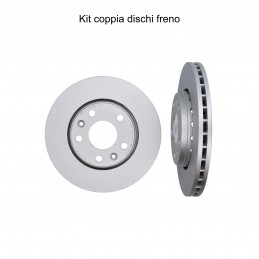 Coppia dischi freno...