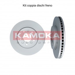 Coppia dischi freno...
