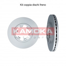 Coppia dischi freno...