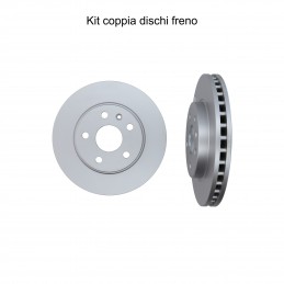 Coppia dischi freno...