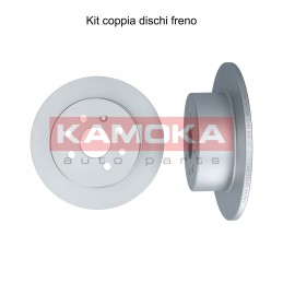 Coppia dischi freno posteriore