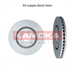 Coppia dischi freno...