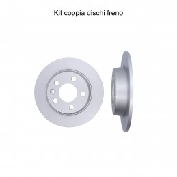 Coppia dischi freno posteriore