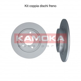 Coppia dischi freno posteriore