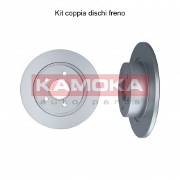 Coppia dischi freno posteriore